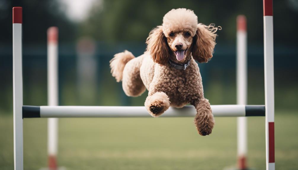 effective training for success