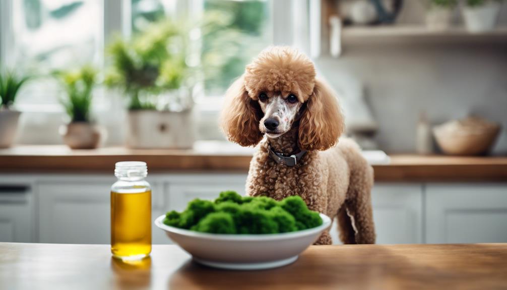 omega 3 for poodle health